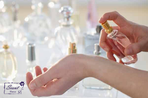 خط بو عطر چیست؟