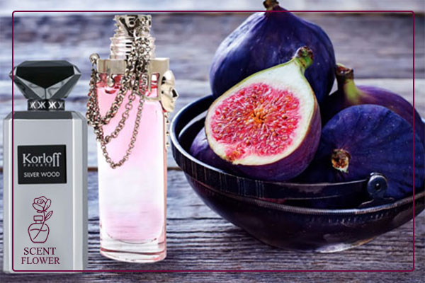 ۵. خانواده میوههای شرابی و تیره