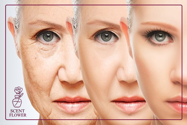  ترفند شماره ۳: آبرسانی و مرطوب کنندگی؛ دو بال یک پرنده