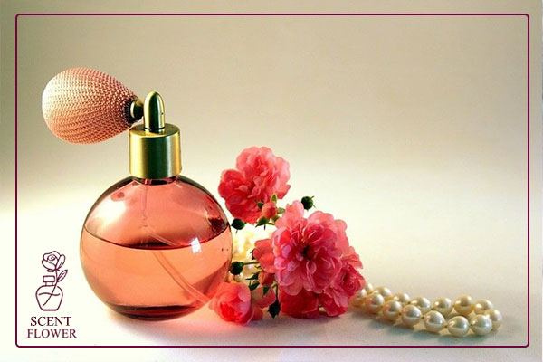 ۱. خانواده شرقی/کهربایی - سلطان خط بو