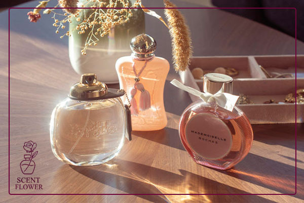 ۳. خانواده چوبی  - قدرت و ظرافت