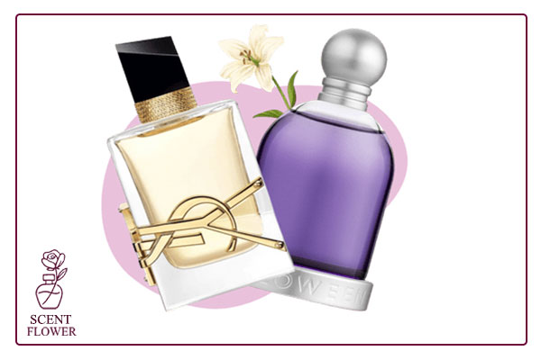 ۲. توجه به ساختار عطر (Notes)