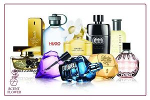 برای خرید عطر باید به چه نکاتی توجه کنیم؟