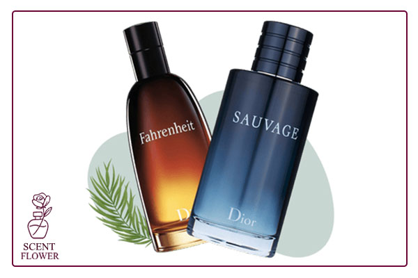 ۵. مناسب برای فصل و موقعیت