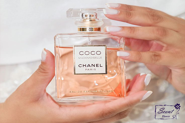  ۱. خط بوی عطر (Sillage)