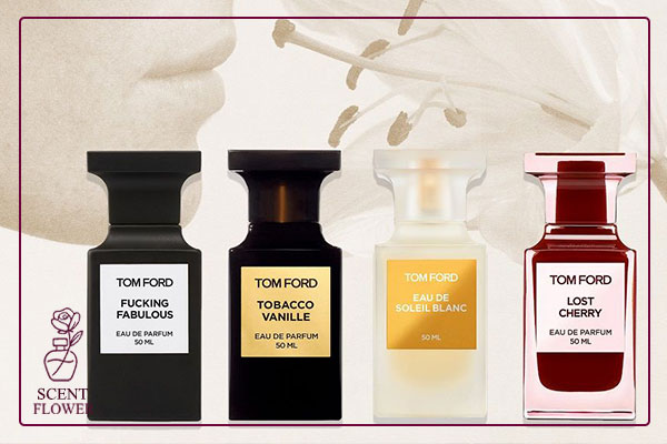  معرفی برترین های مجموعه Signature (امضا)