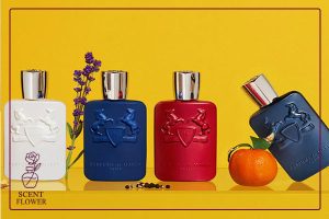 معرفی و شناخت انواع عطرهای مارلی