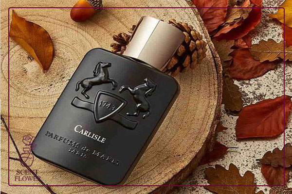 معرفی برترین های کلکسیون مَریْلی