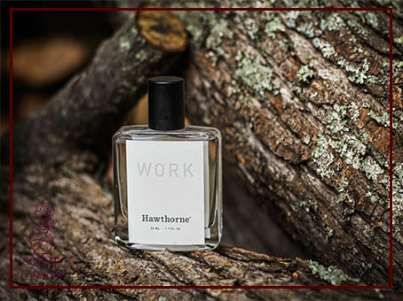  برترین عطرهای رایحه چوبی بازار 