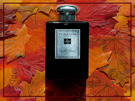  انواع رایحه های چوبی شاخص و شخصیت آن ها