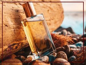 عطر با رایحه چوبی و معرفی بهترین ادکلن های مردانه و زنانه