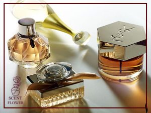 چه عطرهایی که بوی تمیزی و تازگی می دهند