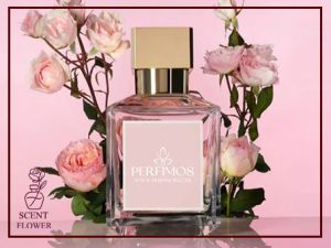 عطرهای مناسب فصل بهار