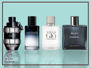 ویژگی های عطربا رایحه خنک و محبوب ترین ادکلن ها