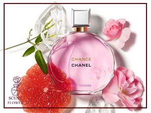 عطر شنل چنس و انواع مختلف رایحه های آن