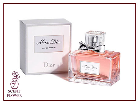 نکات مهم برای خرید یک ادکلن زنانه با قیمت مناسب: