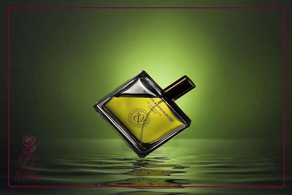 روندهای کلیدی حاکم بر عطرهای ۲۰۲۵