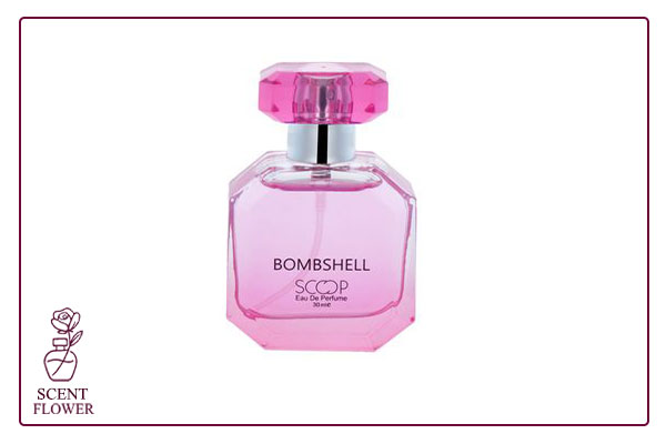 جمع بندی نهایی و توصیه ها: