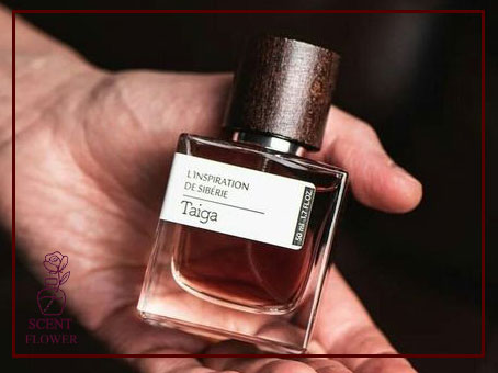  انواع رایحه های رسمی و معرفی خانواده های عطری مناسب