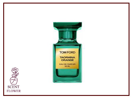  چند نمونه مشهور