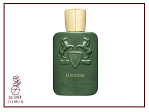 ۲. عطرهای سبز (Green Fragrances) یا عطرهای برگ دار