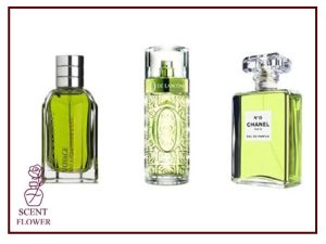 معرفی عطر با شیشه سبز و رایحه های معروف آن