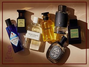 عطر مناسب استفاده روزانه قیمت مناسب