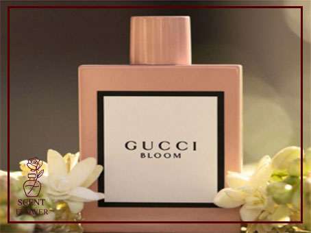 دسته بندی بر اساس خانواده های رایحه ای