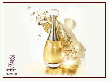 نکات انتخاب و استفاده از عطر روزانه