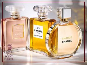 بهترین عطر روزانه زنانه