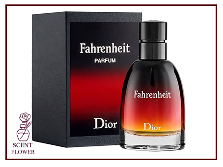 عوامل مؤثر بر قیمت عطرهای تلخ مردانه