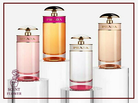  بهترین عطرهای شکلاتی زنانه