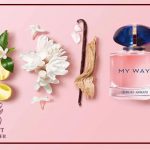 معرفی عطر زنانه مای وی