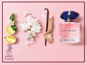معرفی عطر زنانه مای وی