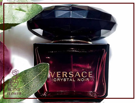     بهترین زمان استفاده از ورساچه نور