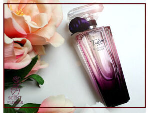 تاثیر انواع عطر بر مغز و روان