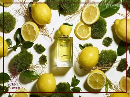  ویژگی های اصلی عطرهای مرکباتی–گل دار